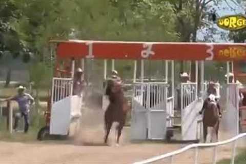 Horse race gone wrong😱