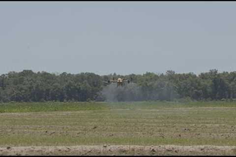 Farming From the Air: Utilizing Drone Technology