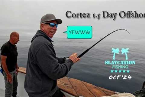 BLUEFIN TUNA Fishing Offshore | Cortez 1.5 Day Trip Seaforth Landing San Diego