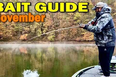 Catch More Bass with November's Best Lures!