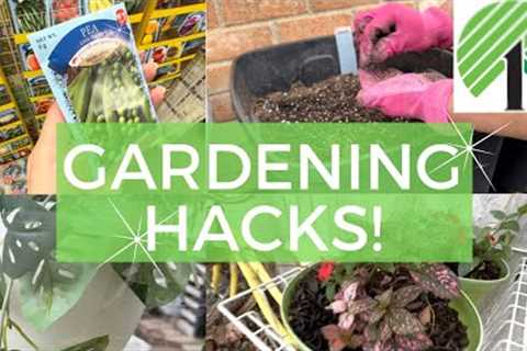 DOLLAR TREE OUTDOOR &amp; GARDEN HACKS (secrets to saving BIG money)
