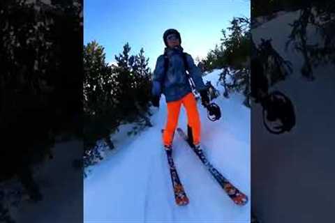 Funny Travel Fails | Pt 3 #shorts #fails #travel #trending #funny #youtubeshorts