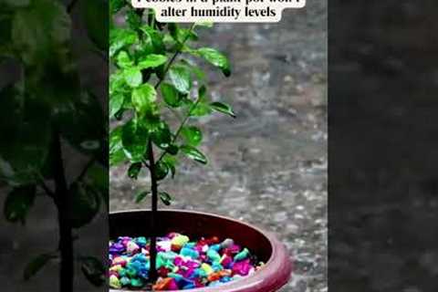 Biggest Gardening Myths, debunked by Science