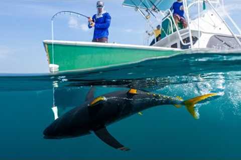BATTLING Deep Sea GIANTS… Catch Clean Cook (Tropic Star lodge)
