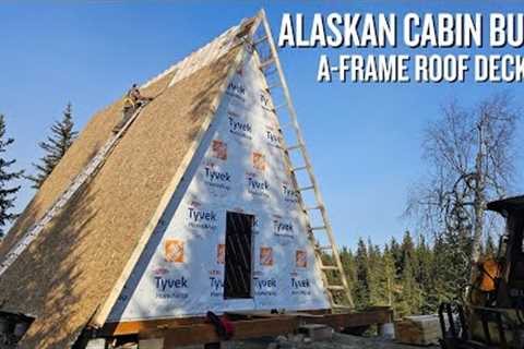 Off Grid Cabin Build | A-Frame Roof Decking