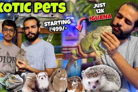 Meet Ludhiana's Most Unique Exotic Pets In This Shop!😳