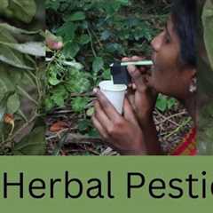 DIY Herbal Pesticide | DIY Science | ThinkTac