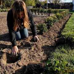 Planting 500 Boxwoods in the Formal Flower Garden (& they are GLORIOUS)!!! 🌿🤩🌿 // Garden..