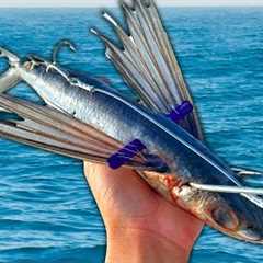 Using FLYING Fish to Catch Bluefin Tuna (Catch Clean Cook)