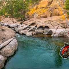 They say this WORLD FAMOUS River is Hard to Fish... (Fly Fishing for Trout)