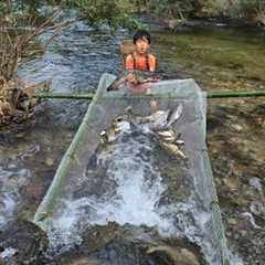 skills survival skills making fish traps, fish traps for sale boy khai makes stream fish traps