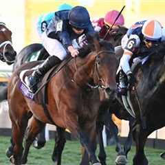 HENRI MATISSE swoops for Breeders' Cup Juvenile Turf crown