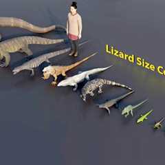 Big Lizard size comparison | 3D Animation #animation #animals