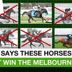 Melbourne Cup horses that can’t win 2024 race, according to data