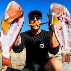 SOLO fishing - CATCH and COOK fish burgers. Best tasting fish in the sea?