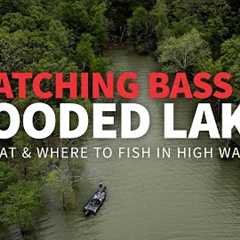 Catching BASS in FLOODED Lakes! (Tips for fishing HIGH WATER)