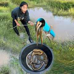 Survival Skills: Build Simple and Useful Fish Trapping Systems with PVC Pipe