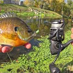 JUMBO BLUEGILL CATCH, CLEAN, COOK!!