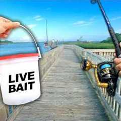 Eating Whatever I Catch.. Fishing a Public Dock (Catch and Cook)