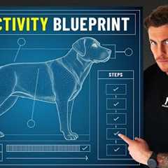 If I had a reactive dog in 2024, this is what I’d do (FULL BLUEPRINT)