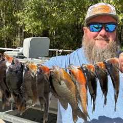 Creek Fishing for Topwater Panfish!!! {Catch Clean Cook}