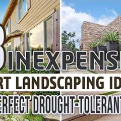 33 Inexpensive Desert Landscaping Ideas For a Perfect Drought-Tolerant Garden