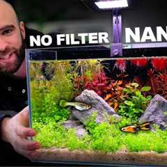 Nano Ecosystem Fish Tank You Can Put Anywhere!