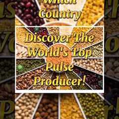 Discover The World's Top Pulse Producer |#shorts #viral #trending #ytshorts@WorldoPedia1.1M