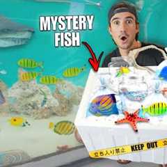 BUYING $500 LIVE FISH MYSTERY BOX Off The Web... (What's Inside?)