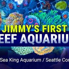 Everything YOU Need To Start Your First REEF Aquarium and More