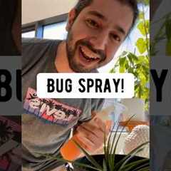 How to Make a Bug Spray for Plants | creative explained