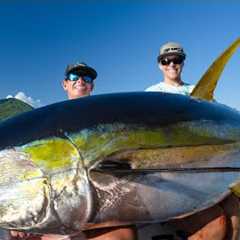 MASSIVE Mexican Tuna... Catch Clean Cook (Yellowfin Tuna)