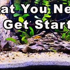 Beginners Guide to The Aquarium Hobby Part 2: Everything You Need to Start an Aquarium!