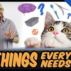 Everything You Need for Your Cat | 10 Cat Essentials for New Guardians