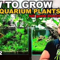 DON'T START A PLANTED TANK WITHOUT WATCHING THIS! (Everything I Have Learnt in 6 Years)