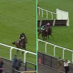 Two VERY GOOD horses! The New Lion and Quebecois bolt up at Chepstow!