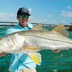 The Protected Fish I'm Keeping Forever (Catch Clean & Cook Snook)