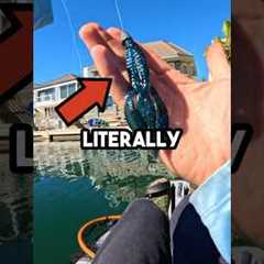 Freshwater Lures in Saltwater! #fishingvideo #fishing