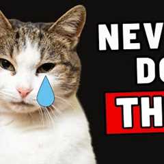 10 Things a Cat Will NEVER Forgive