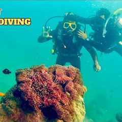 My First SCUBA DIVING Experience at Havelock Island | Andaman Islands