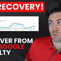 SEO Recovery - Recover From Any Google Penalty