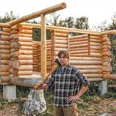 One Year Alone Building a Log Cabin in the Off Grid Bush