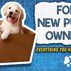 The PERFECT Puppy Training Blueprint