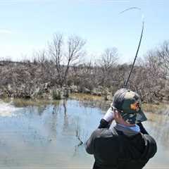 Sight Fishing Big Bass on Lake Fork