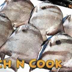 Most Underrated Saltwater Fish?? Catch and Cook Spadefish