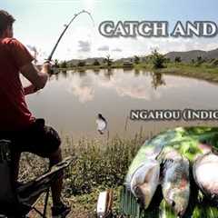 Catch and Cook -Catching Indigenous Fish (Ngahou) and Cooking with Meitei style recipe......