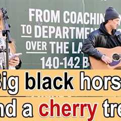 Leeds STREET PERFORMERS Sing Black Horse and a Cherry Tree LIVE!   #leeds #buskers #music