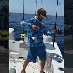 Catching Fish using Lettuce for Bait