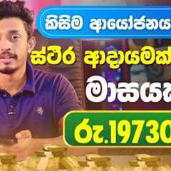 How To Earn E-Money Without Investment Sinhala/  make money online #socrates