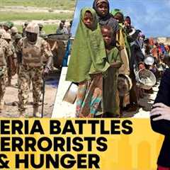 Armed Conflict and Climate Change Fuel Nigeria's Food Crisis | Firstpost Africa